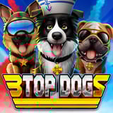 3 Top Dogs